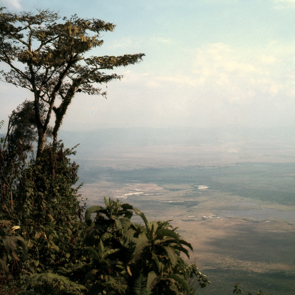 Tanzania 1981 
