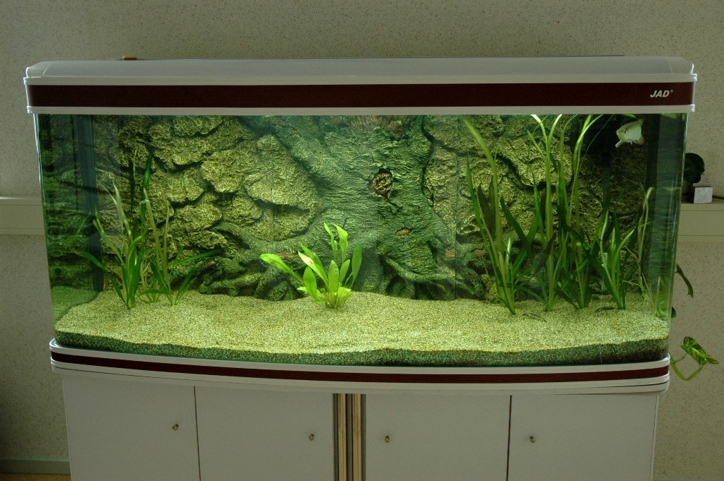 Een overzichtsfoto van het aquarium op het kantoor van Ruban.