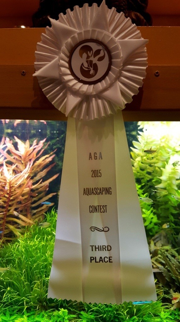 Bij deelname in 2015 aan de internationale scaping contest won ik hiermee de derde prijs in de categorie Dutch Style. Leuk resultaat op internationaal niveau.