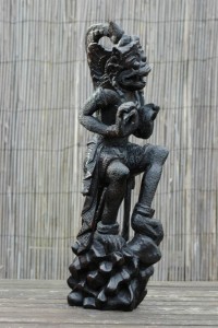 Hanuman groot coromandel 1