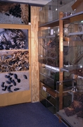 Een hoekje met terraria in de Reptilion expositie aan de Dorpsstraat in Zoetermeer.