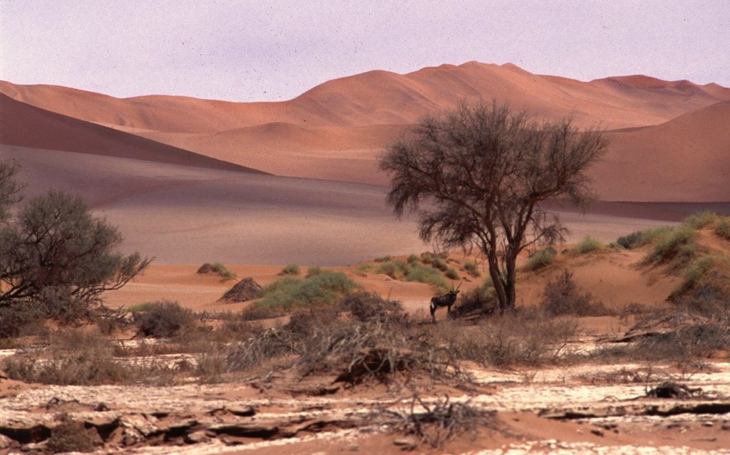 Namibie- Zuid Afrika, 1992 nr 0017