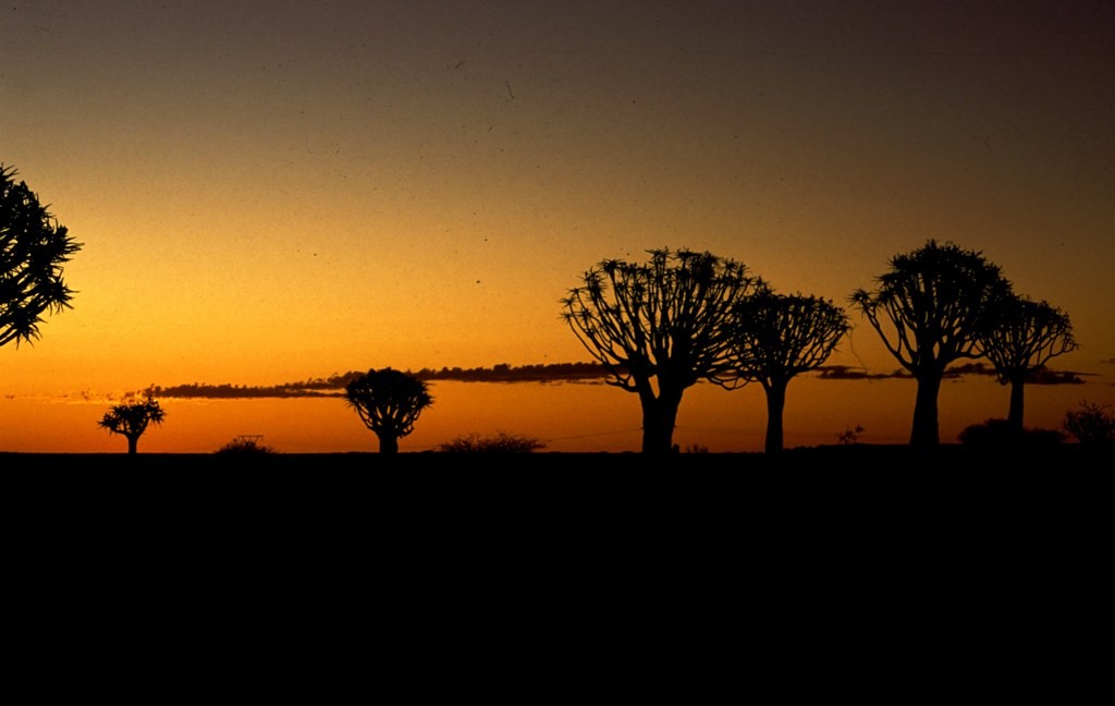 Namibie- Zuid Afrika, 1992 nr 0308