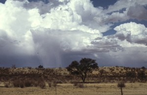 Namibie- Zuid Afrika, 1992 nr 0314
