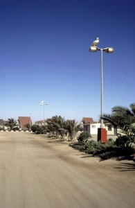 Namibie- Zuid Afrika, 1992 nr 0438