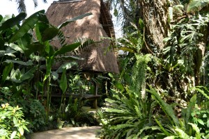 Het Bali Bird Park en het daarbij behorende Reptilarium. Een korte impressie.